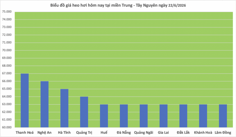 Giá heo hơi hôm nay 22/6/2026: Lặng sóng chờ tín hiệu mới - 2