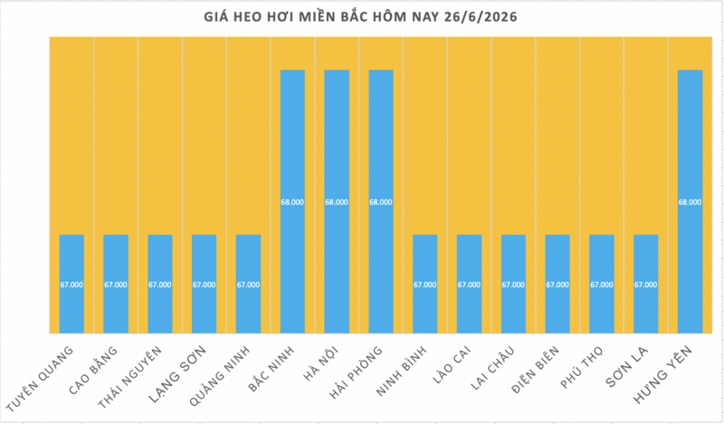 Giá heo hơi hôm nay 26/6/2026: Giảm nhẹ tại miền Bắc - 1