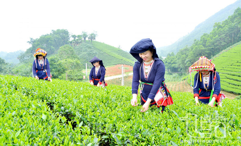 Chính phủ giao kế hoạch đầu tư công trung hạn vốn ngân sách trung ương giai đoạn 2026 - 2030 để triển khai các chương trình mục tiêu quốc gia. (Ảnh minh hoạ)