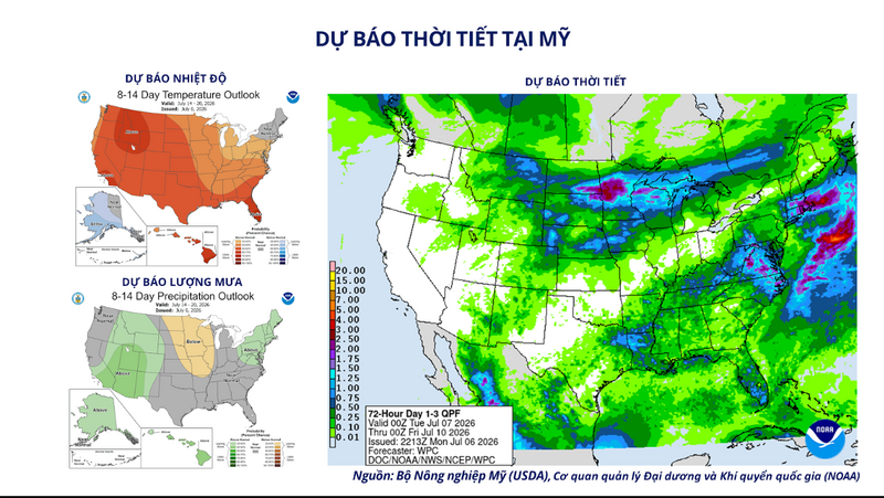 Dự báo thời tiết tại Mỹ. Nguồn: MXV