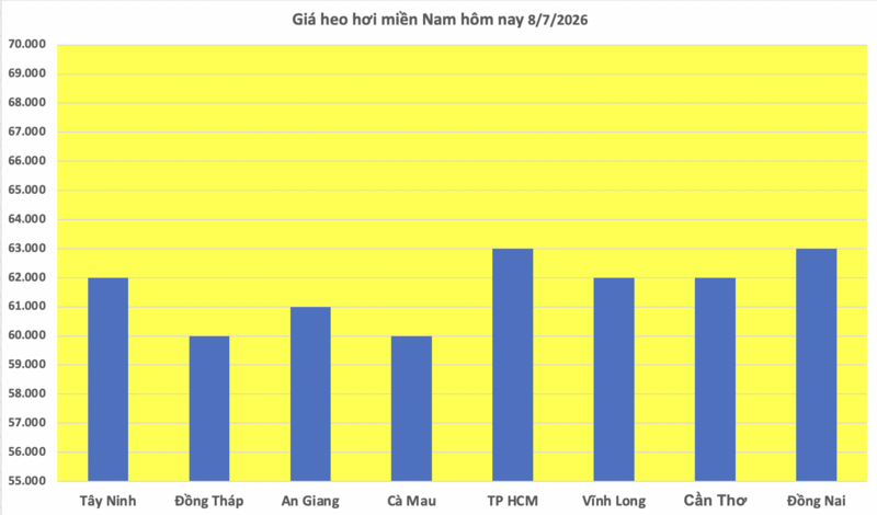 Giá heo hơi hôm nay 8/7/2026: Tạm chững, cao nhất 66.000 đồng/kg - 3