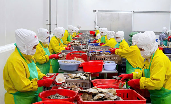 Sản xuất thủy sản xuất khẩu tại KCN An Hiệp, xã Phú Túc.
