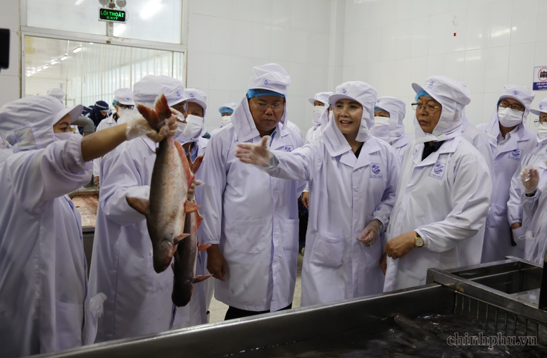 Phó Thủ tướng Hồ Quốc Dũng thăm quy trình sản xuất của Công ty Cổ phần Xuất nhập khẩu thuỷ sản Cửu Long An Giang - Ảnh: VGP/Gia Huy
