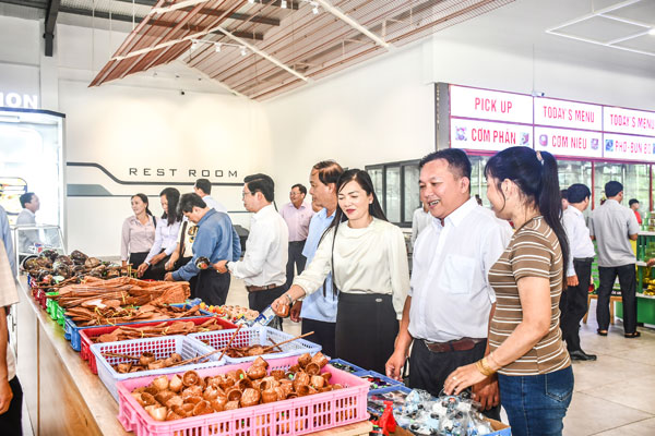 Tham quan mô hình kinh doanh đặc sản, sản phẩm OCOP của các địa phương trong tỉnh.