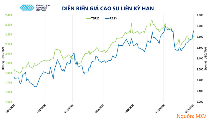 Diễn biến giá cao su liên kỳ hạn.
