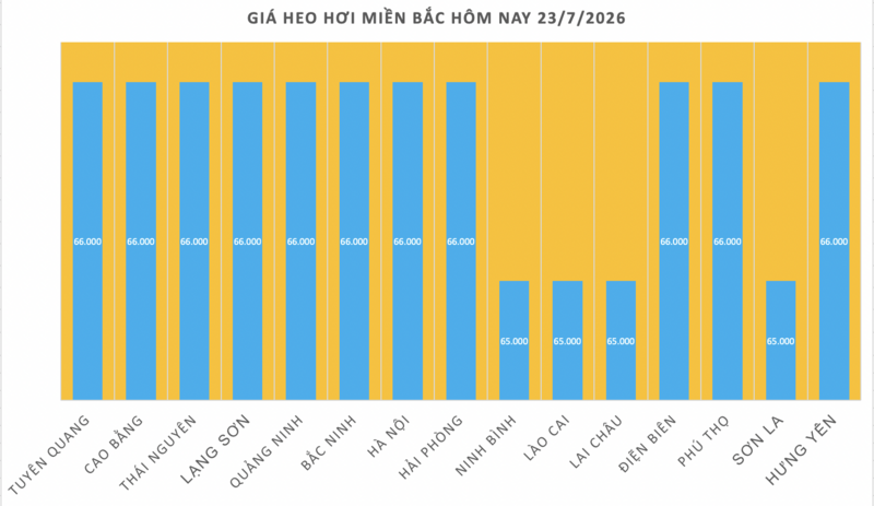 Giá heo hơi hôm nay 23/7/2026: Giảm rải rác tại miền Bắc, miền Trung - 1