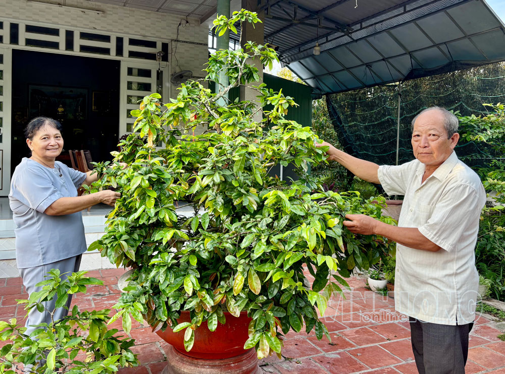Đồng hành cùng nhau suốt 44 năm, bí quyết giữ gìn hạnh phúc gia đình của gia đình ông Văn Công Huệ là “thấu hiểu” và “sẻ chia”. Ảnh: MAI ANH