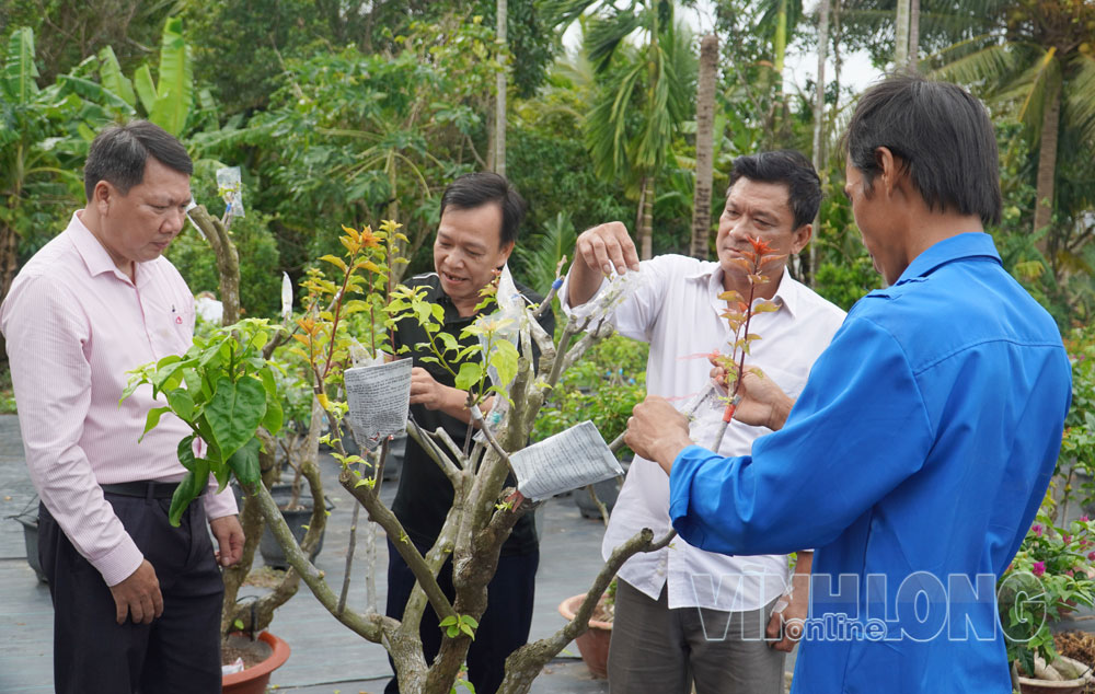 Anh Nguyễn Thúc Ngân- đoàn viên ấp Vĩnh Hòa (thứ 2 từ trái sang) giới thiệu mô hình trồng cây hoa giấy. Ảnh: PHAN HÂN