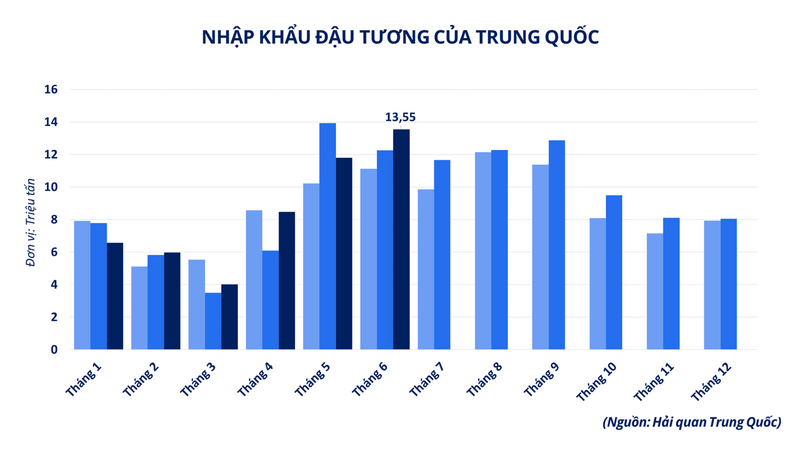 Nhập khẩu đậu tương của Trung Quốc .