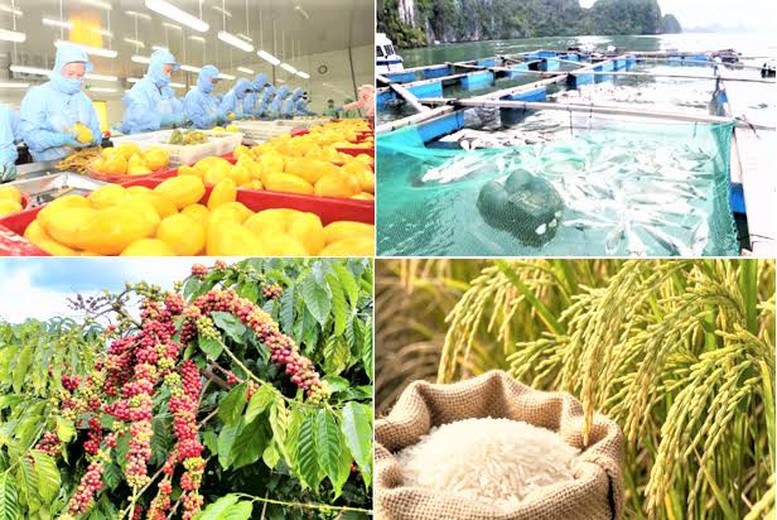 Xuất khẩu nông, lâm, thủy sản phải gắn chặt với dữ liệu từ Hệ thống truy xuất nguồn gốc quốc gia - Ảnh minh họa