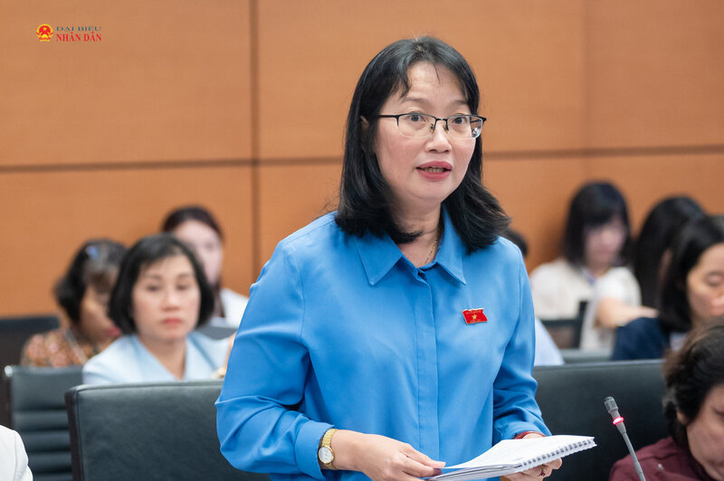 Đại biểu Trần Thị Diệu Thúy phát biểu thảo luận tại Tổ.