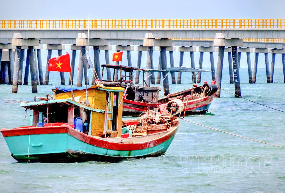 Tăng cường quản lý tàu cá tại cảng, góp phần kiểm soát hoạt động khai thác và chống khai thác IUU.