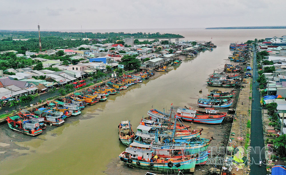 Liên cảng cá Định An- Láng Chim. Ảnh: BÁ THI