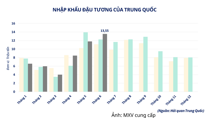 Nhập khẩu đậu tương của Trung Quốc.
