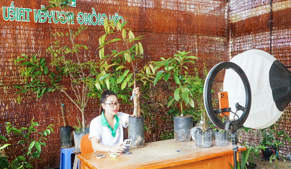 Tiêu chí 7.3 “Triển khai hiệu quả hoạt động thương mại điện tử” tạo cơ sở để các địa phương xây dựng xã nông thôn mới theo hướng hiện đại, bền vững và gắn với phát triển kinh tế số. Trong ảnh: Buổi livestream bán cây giống tại cơ sở cây giống Nguyễn Triều (xã Chợ Lách).