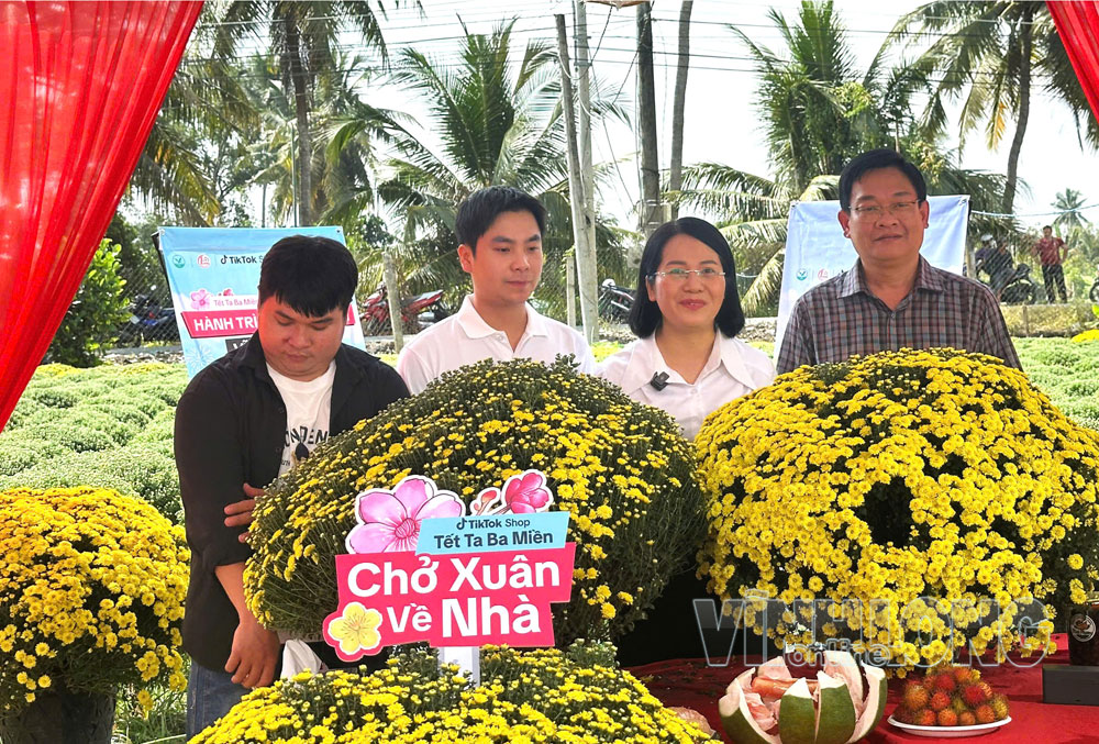 Bà Lê Thị Hoàng Oanh- Bí thư Đảng ủy xã Chợ Lách tham gia phiên livestream bán hoa cúc cùng người dân dịp Tết Nguyên đán 2026.    Ảnh: CẨM TRÚC