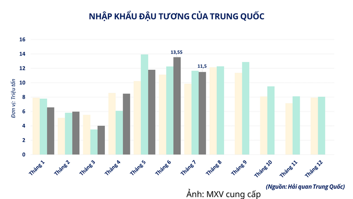 Nhập khẩu đậu tương của Trung Quốc