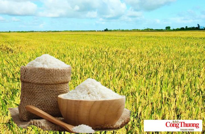 Giá lúa gạo hôm nay ngày 24/8: Gạo thơm Jasmine tăng 1.000 đồng/kg.
