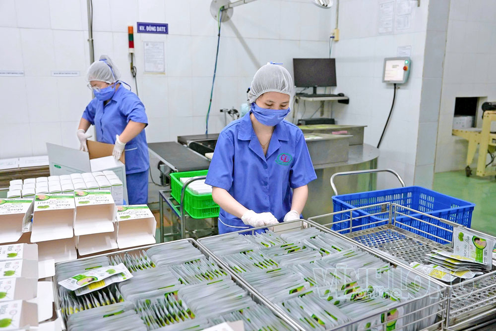 Từ nguồn nguyên liệu bản địa, nhiều phụ nữ đổi mới sản xuất, ứng dụng khoa học- công nghệ để nâng giá trị sản phẩm OCOP. Ảnh: HẢI YẾN