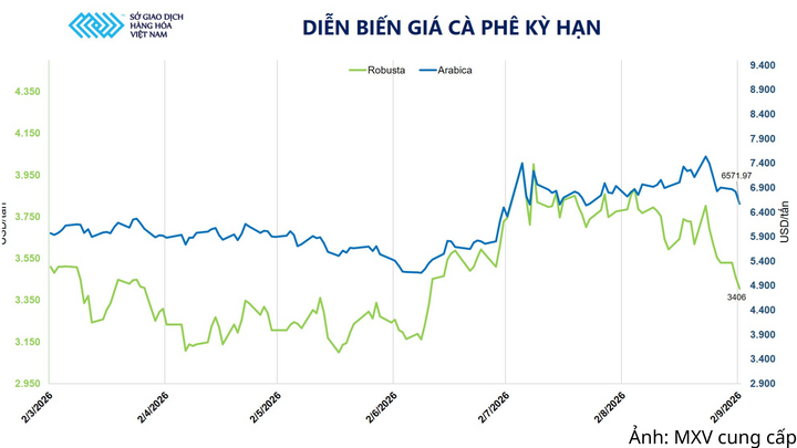 Diễn biến giá cà phê kỳ hạn.