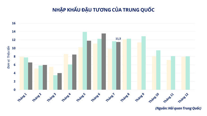 Nhập khẩu đậu tương của Trung Quốc.