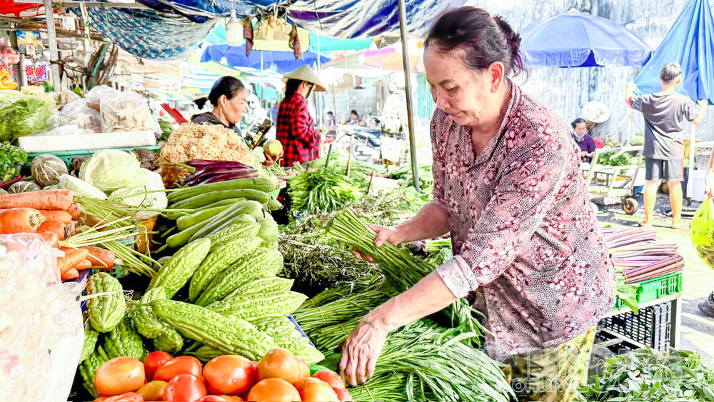 Mưa nhiều ảnh hưởng đến năng suất, chất lượng rau màu.