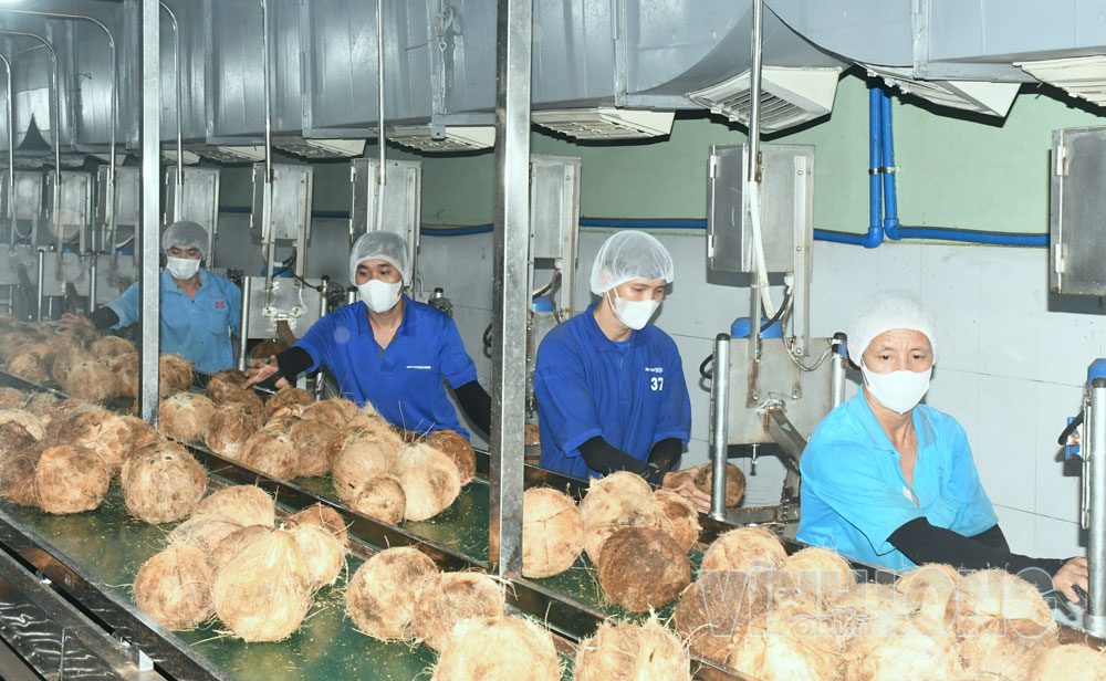 Dây chuyền sơ chế dừa trái để sản xuất nhiều dòng sản phẩm từ dừa tại KCN Giao Long, xã Giao Long.