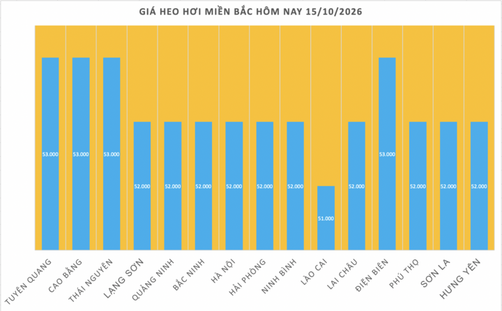 Giá heo hơi miền Bắc hôm nay 15/10/2026