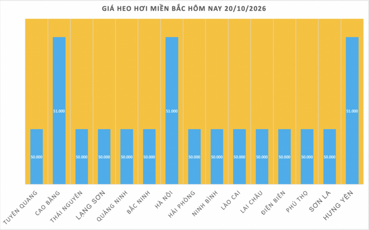 Giá heo hơi hôm nay 20/10/2026: Lao dốc, giảm tới 3.000 đồng/kg - 1