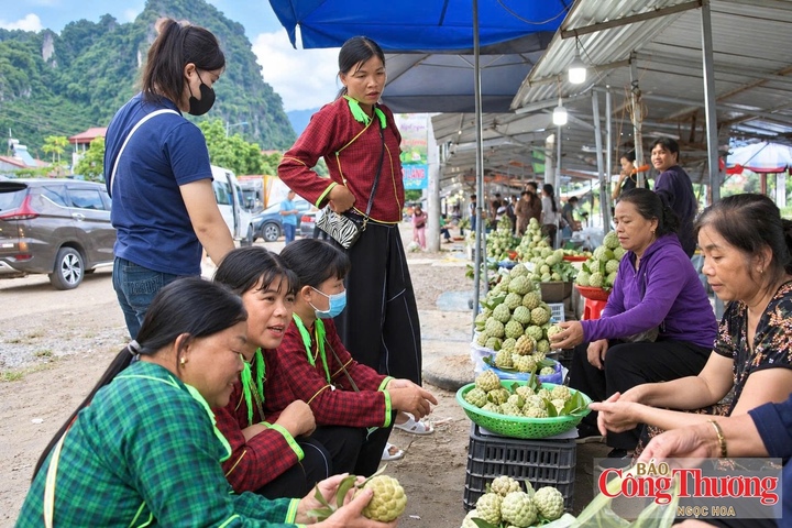 Lạng Sơn có nhiều sản phẩm nông sản, đặc sản gắn với điều kiện tự nhiên, tập quán sản xuất và sinh kế của đồng bào dân tộc thiểu số, miền núi.