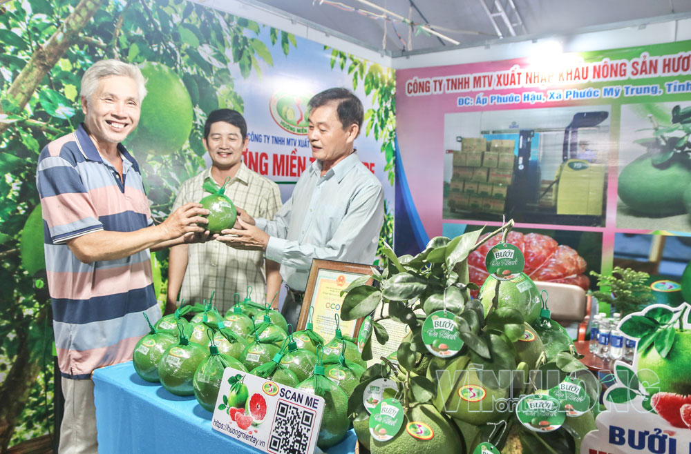 Bưởi da xanh của Công ty TNHH MTV Xuất nhập khẩu nông sản Hương Miền Tây Bến Tre bày bán tại hội chợ xã Phước Mỹ Trung, tháng 9/2026.