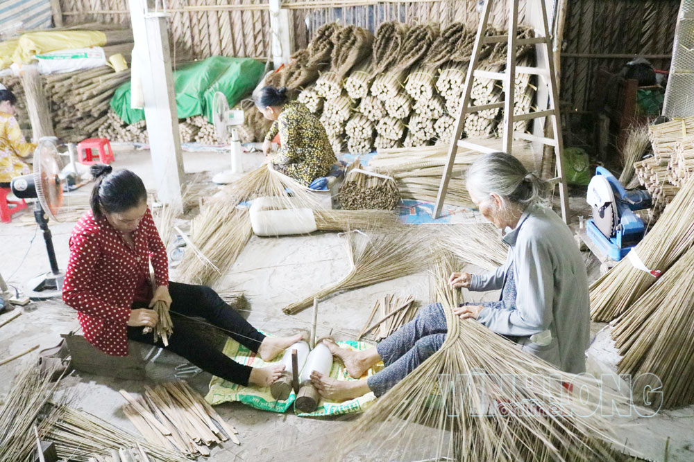 Làng nghề bó chổi Mỹ An nhộn nhịp những tháng cuối năm 2026. Ảnh: THÀNH LẬP