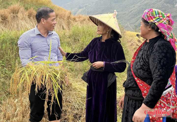 Ông Dương Ngọc Đức, Bí thư Đảng ủy, Chủ tịch HĐND xã Lũng Cú chia sẻ và khẳng định, xã luôn đồng hành, hỗ trợ bà con trong kết nối, tiêu thụ các giống lúa đặc sản. Ảnh: Ngọc Đức